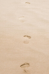 Fototapeta na wymiar Beautiful sandy beach, footsteps on the shore.