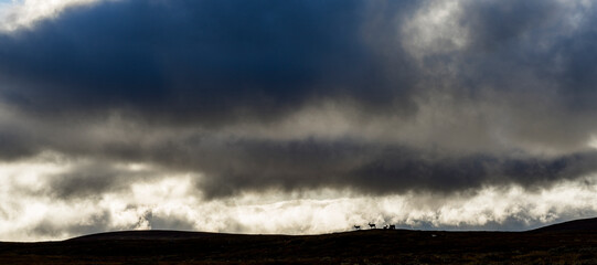 Distant reindeer walking on hill under clouds