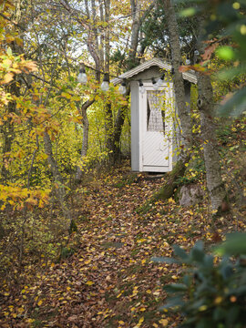 Outhouse in forest during autumn