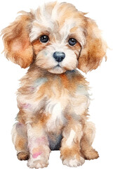 Cavapoo puppy illustration created with Generative AI technology