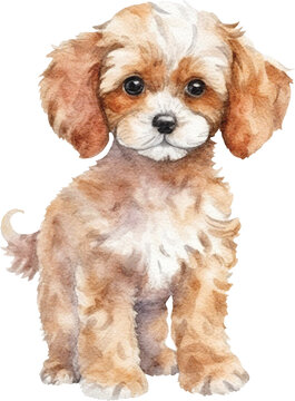 Cavapoo puppy illustration created with Generative AI technology