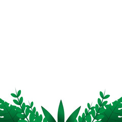 Obraz premium Border Leaf