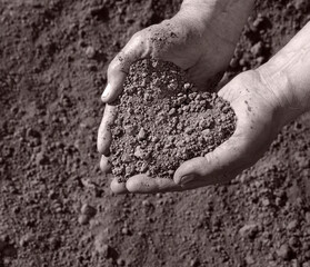 Man's hands holding a handful of earth