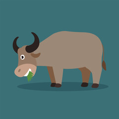 buffalo flat illustration