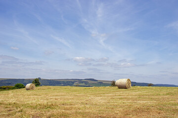 Summertime rural scenery in England.