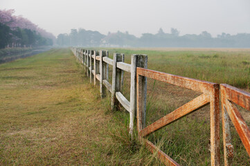 Fototapeta na wymiar Horse farm with old wooden fence on dry pasture of natural landscape