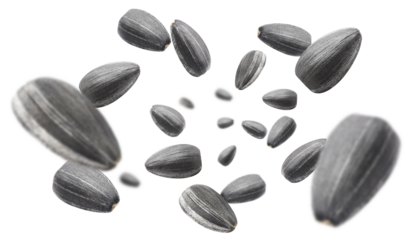 Flying delicious sunflower black seeds, cut out