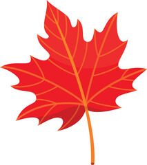 Fototapeta premium Autumn maple leaf seasonal red tree foliage on stick botanical bright nature isometric vector