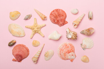 Sea shells on color background, top view