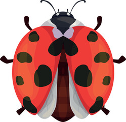 Obraz premium Ladybug red insect with black spots and open wings top view vector flat illustration