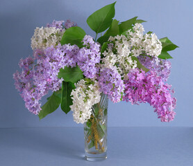 bouquet of lilac in vase
