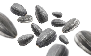 Flying delicious sunflower black seeds, cut out