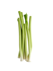 fresh green leek