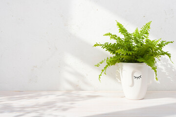 Green plant pot on wooden table background with copy space