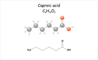 Stylized molecule model/structural formula of caproic acid. Colorless liquid with an odor that like goats.