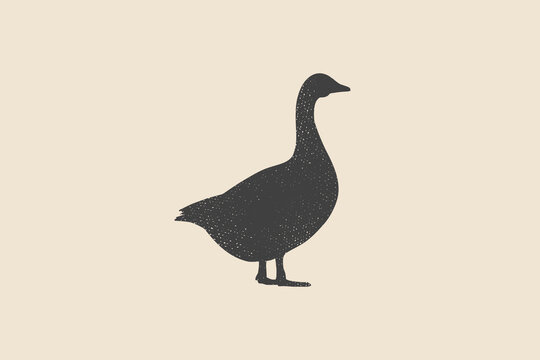 Goose. Silhouette vector image of a goose in retro style. The image can be used for packaging, postcards, emblems.
