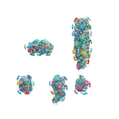 Cute Flowers 3D Alphabet or PNG Letters