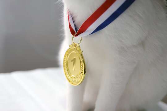 Gold medal in the foreground on red blue white ribbon