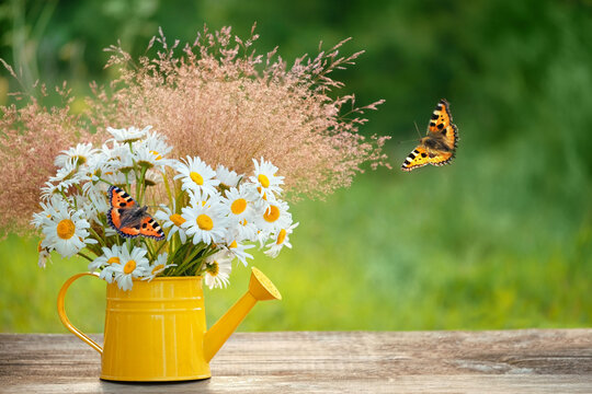 summer flowers bouquet in yellow watering can and butterflies on table in garden, green natural background. rustic floral composition. summer blossom season. template for design. copy space.