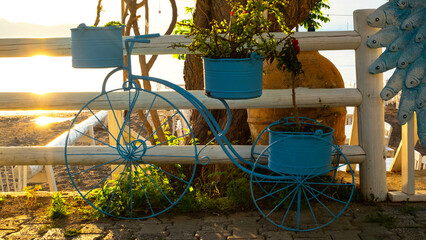 An old bicycle that turns into a flower garden