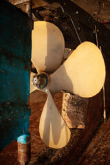 Rear motor fans of a boat.