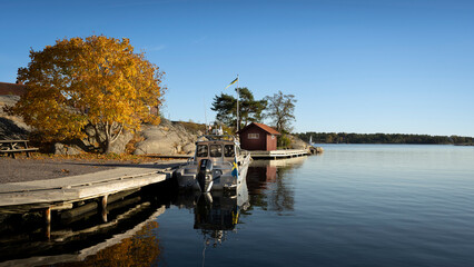 Boat and autumn tree under clear sky