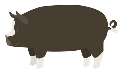 黒豚のイラスト
