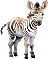 Fototapeta na wymiar Cute Zebra Watercolor Illustration. Generative AI