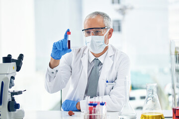 Fototapeta premium Science, vaccine and doctor with blood in a test tube with results of medical exam in a lab or laboratory. Medicine, research and healthcare man or chemistry professional with solution for covid