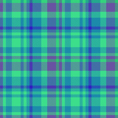 Vector plaid tartan. Texture textile background. Seamless check pattern fabric.