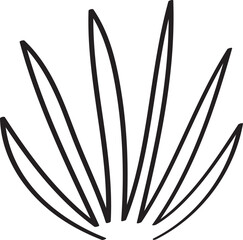 hand drawn side view of plant illustration