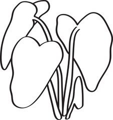 hand drawn side view of plant illustration