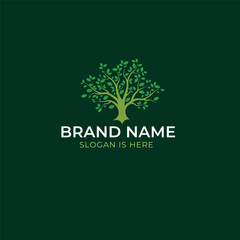  the Forest Logo This high-quality logo features the serene beauty of a forest with greenery and trees. Perfect for nature businesses, environmental organizations, or any brand looking for a touch of 