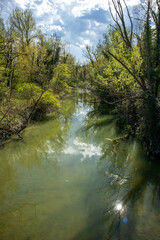 Fototapeta na wymiar Passeggiata lungo il fiume Idice, città metropolitana di Bologna, Emilia Romagna