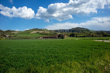 Passeggiata lungo il fiume Idice, citt&agrave; metropolitana di Bologna, Emilia Romagna