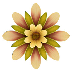 Fototapeta premium png of flower with nice color