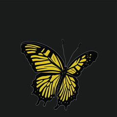 Obraz na płótnie Canvas butterfly 
