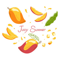 Banner with juicy mango fruits and text on a white background. Juicy summer. Vector illustration for prints, decor, banner