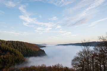 mosselle valley wine region in Germany filled with morning mist fog just after sunrise before the sun burns it off. dragons breath creates dreamy effect in natural beauty with perfect blue sky