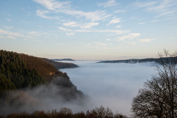 mosselle valley wine region in Germany filled with morning mist fog just after sunrise before the sun burns it off. dragons breath creates dreamy effect in natural beauty with perfect blue sky
