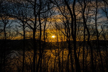 Sunrise over mountain valley with silhouettes of trees in foreground. Outdoors lifestyle enjoyed by hunters, explorers and people in the outback wilderness nature environment
