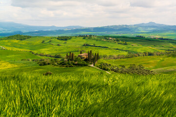 Fototapeta na wymiar View of a farmhouses on a hill in the Orcia Valley near San Quirico d'Orcia