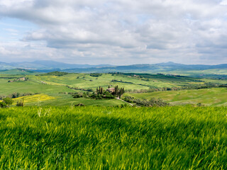 Obraz premium View of a farmhouses on a hill in the Orcia Valley near San Quirico d'Orcia