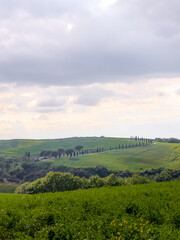 View of a farmhouses on a hill in the Orcia Valley near San Quirico d'Orcia