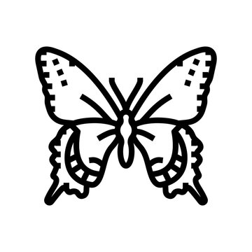 black swallowtail spring line icon vector. black swallowtail spring sign. isolated contour symbol black illustration