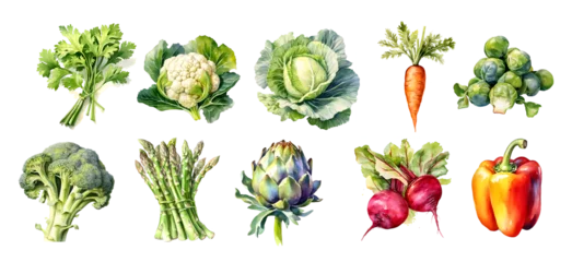 Foto op Plexiglas Watercolor vegetables Set with transparent background, generated ai © weissdesign