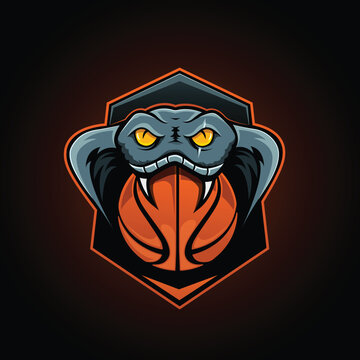 Angry snake looking at you while biting a basketball. scary team mascot logo for gamers who play sports games. best for profile pic avatar to look dangerous. print on tee shirt or as a sticker