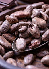 Macro shot of cocoa beans