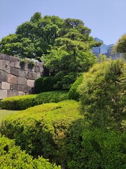 Coin du jardin impérial et asiatique de la ville de Tokyo, avec toute sa beauté florale, ses arbres bien taillés, ses fleurs exotiques et colorés, les rayons du Soleil, ses magnifiques buissons