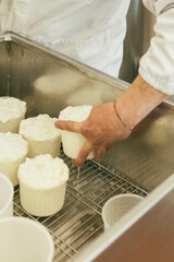 cheesemongers 